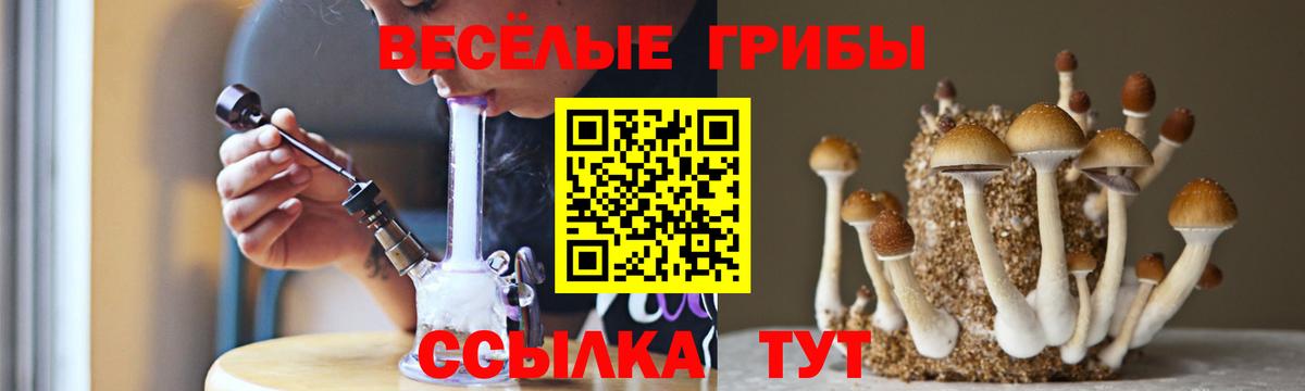 Апрелевка  Псилоцибиновые грибы мицелий  цена наркотик  Вход с VPN 